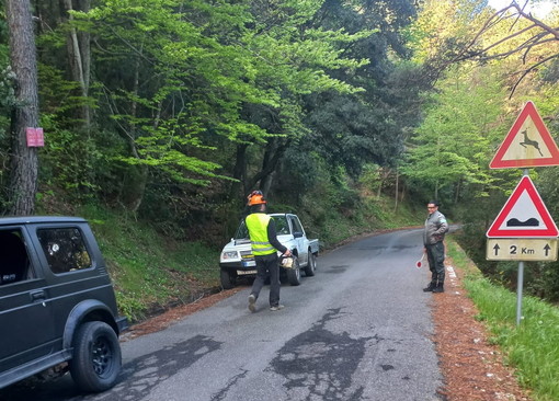 Perinaldo: lavori in corso sulla Strada Provinciale 61, massima prudenza per chi transita