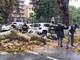 Ventimiglia: crolla sotto la forza del vento un platano in via Veneto, distrutta una Smart (Foto)