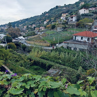 Sanremo prepara l'autunno: 185mila euro per la manutenzione dei torrenti tra Levante e Ponente in vista delle piogge Sanremo prepara l'autunno: 185mila euro per la manutenzione dei torrenti tra Levante e Ponente in vista delle piogge