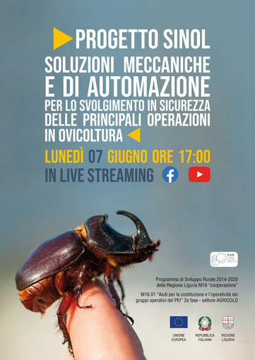 Lunedì presentazione online del progetto SINOL: un’innovazione per le operazioni in olivicoltura