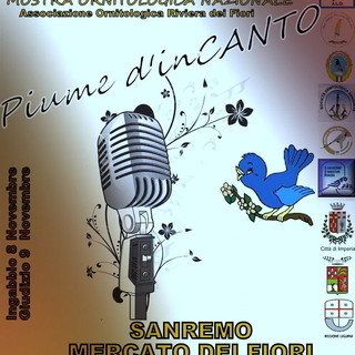 Sanremo: sabato al mercato dei fiori l'inaugurazione della mostra “Piume d’InCanto”
