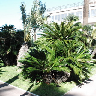 Bordighera: domani nei giardini del Palaparco, laboratori didattici per bambini dai 3 ai 6 anni dal titolo ‘Il Nido va in Piazza’ Bordighera: domani nei giardini del Palaparco, laboratori didattici per bambini dai 3 ai 6 anni dal titolo ‘Il Nido va in Piazza’