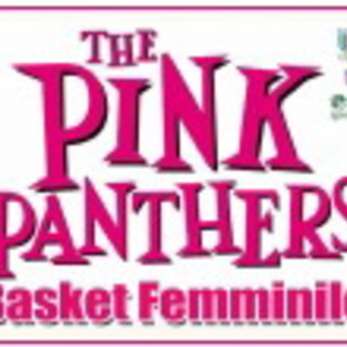Bordighera: venerdì prossimo alla 'Conrieri' il raduno femminile di Basket e Minibasket Bordighera: venerdì prossimo alla 'Conrieri' il raduno femminile di Basket e Minibasket