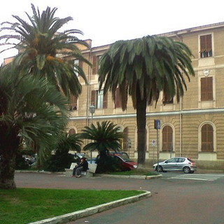 Imperia: nuove palme resistenti al punteruolo rosso al posto di quelle infestate, approvato il progetto preliminare per il primo lotto