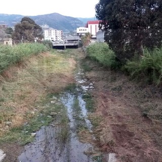 Torrente Armea (Sotto il San Romolo) Torrente Armea (Sotto il San Romolo)