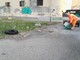 Sanremo: degrado e sporcizia ieri in Pian di Nave, questa mattina scattata la pulizia di Amaie Energia (Foto)