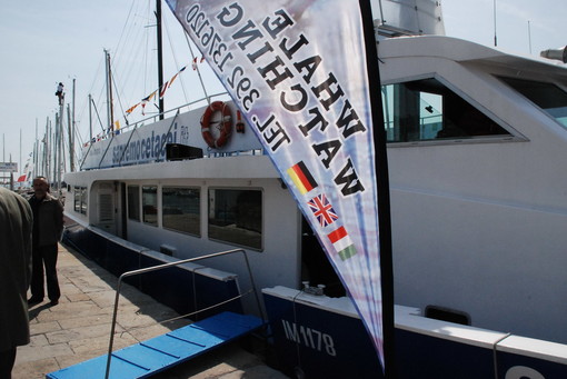Con partenze da Imperia, Sanremo e Bordighera il 'Whale Watching' sulla motonave 'Corsara'