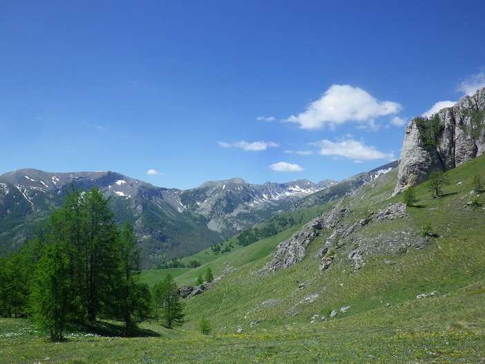 Domenica prossima per 'Attraverso le Alpi Liguri' una escursione al 'Plan de Tendasque' nel Mercantour Domenica prossima per 'Attraverso le Alpi Liguri' una escursione al 'Plan de Tendasque' nel Mercantour