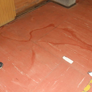 Sanremo: ancora infiltrazioni nella palestra del Liceo Cassini, parla la rappresentante degli studenti