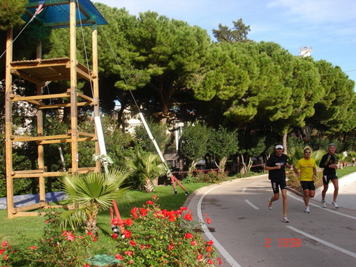 Taggia: aperto il bando di gara per la gestione del Parco Avventura, c'è tempo fino al 20 marzo