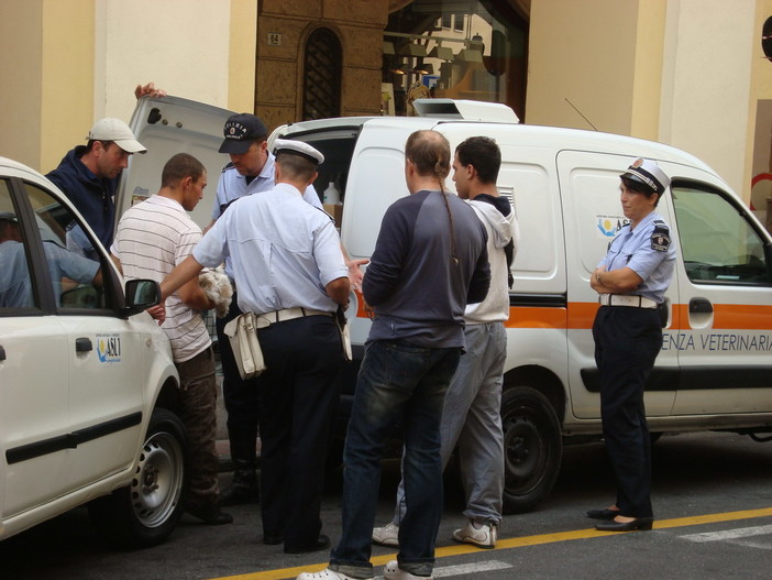 Imperia: chiedevano soldi sotto i portici di Oneglia con un cucciolo di cane, identificati e multati 2 cittadini rumeni
