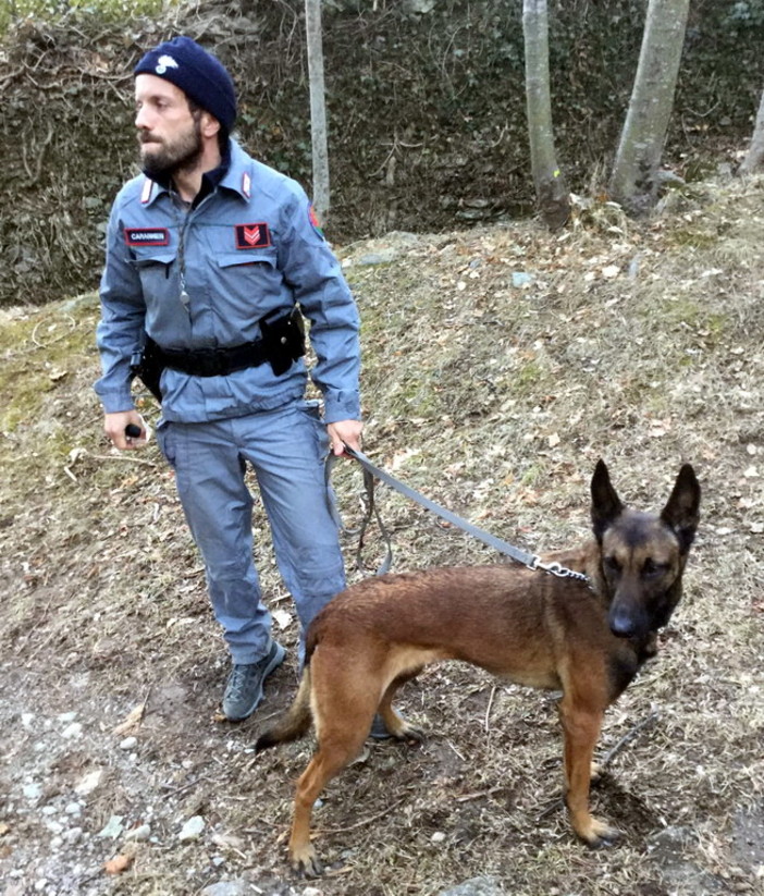 Ormea: gli studenti della scuola forestale hanno parlato di 'Life Wolfalps', il progetto del lupo sulle Alpi Ormea: gli studenti della scuola forestale hanno parlato di 'Life Wolfalps', il progetto del lupo sulle Alpi