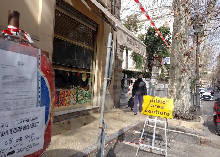 Sanremo: cartelli annunciano la potatura dei platani in corso Garibaldi, lettera al Comune dal Pat (Foto) Sanremo: cartelli annunciano la potatura dei platani in corso Garibaldi, lettera al Comune dal Pat (Foto)