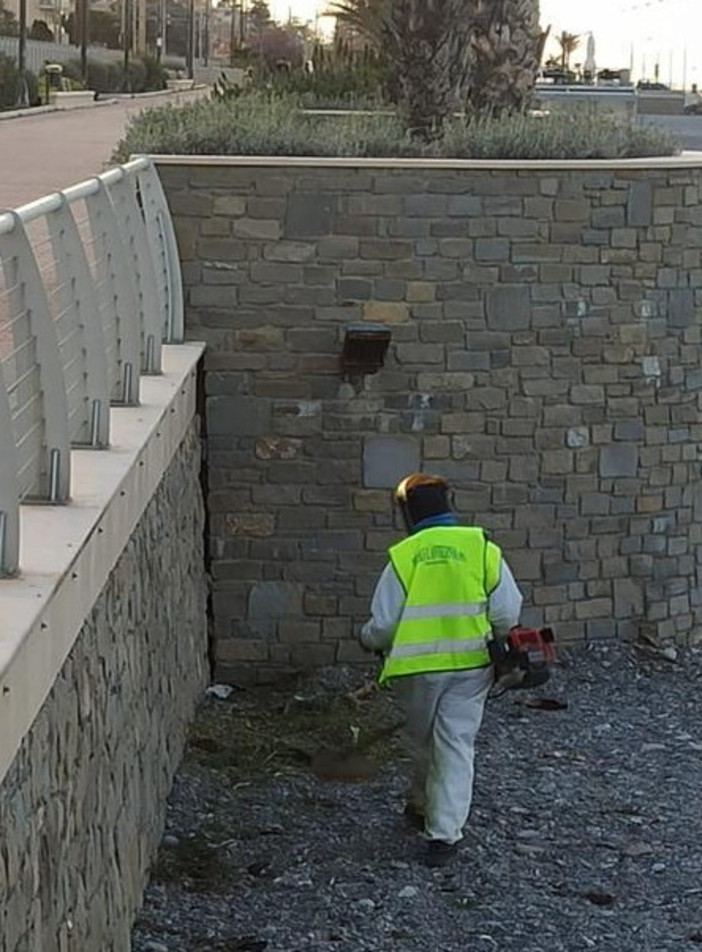 Bordighera: manutenzione delle spiagge, Baldassarre "Attenzione alla cura e al decoro" (Foto) Bordighera: manutenzione delle spiagge, Baldassarre "Attenzione alla cura e al decoro" (Foto)