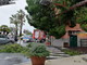 Imperia: pino marittimo caduto nella zona della Marina, intervento di Vigili del Fuoco e Municipale (Foto e Video) Imperia: pino marittimo caduto nella zona della Marina, intervento di Vigili del Fuoco e Municipale (Foto e Video)