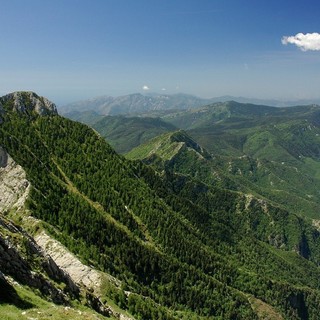 Pigna: la minoranza pronta a presentare un esposto alla Forestale nei confronti dell’Ente Parco Regionale Alpi Liguri