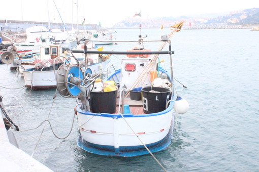 Pesca: in arrivo 800mila euro del secondo bando ‘Feamp’ per le attività di pesca e acquacoltura nei porticcioli