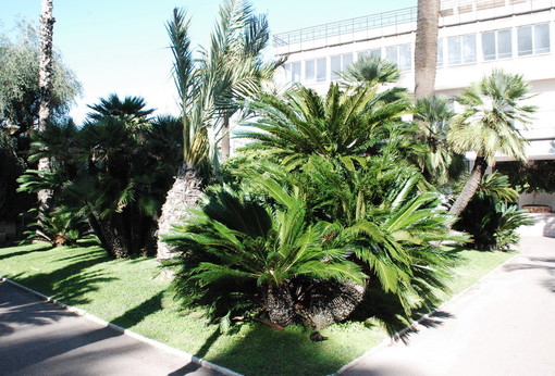 Bordighera: domani nei giardini del Palaparco, laboratori didattici per bambini dai 3 ai 6 anni dal titolo ‘Il Nido va in Piazza’