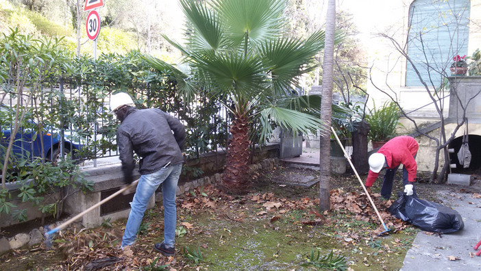 Bordighera: iniziati nel Parco Bicknell i lavori di pulizia previsti dal progetto di inclusione sociale del Comune Bordighera: iniziati nel Parco Bicknell i lavori di pulizia previsti dal progetto di inclusione sociale del Comune