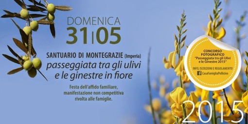 Imperia: domenica prossima a Montegrazie torna la 'Passeggiata tra gli Ulivi e le Ginestre in Fiore' Imperia: domenica prossima a Montegrazie torna la 'Passeggiata tra gli Ulivi e le Ginestre in Fiore'