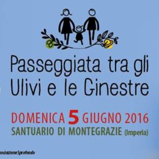 Aperte iscrizioni alla sesta edizione della Passeggiata tra gli Ulivi e le Ginestre in Fiore del 5 giugno Aperte iscrizioni alla sesta edizione della Passeggiata tra gli Ulivi e le Ginestre in Fiore del 5 giugno
