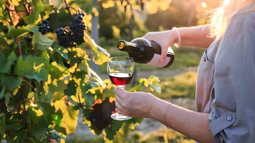Speciale Weekend: le nostre migliori proposte su cosa vedere e dove andare in provincia di Imperia Speciale Weekend: le nostre migliori proposte su cosa vedere e dove andare in provincia di Imperia