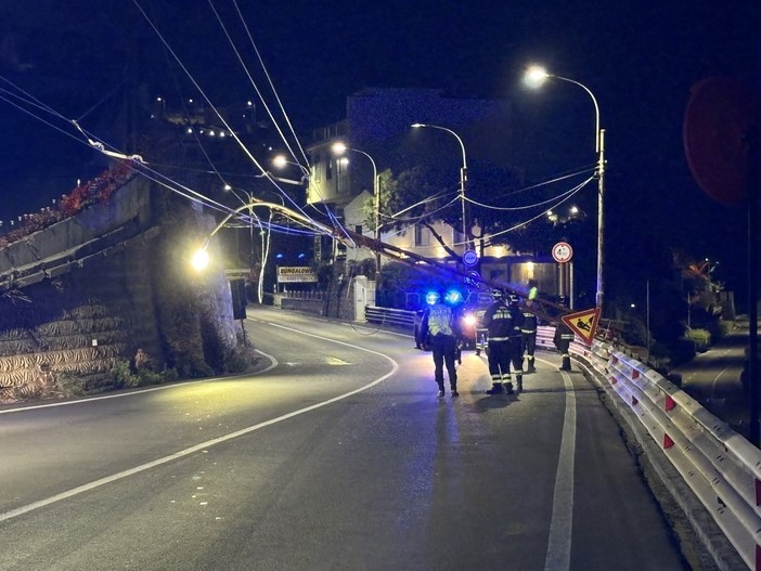 Sanremo: il comune corre in fretta ai ripari, al via la progettazione per i nuovi pali al posto dei tralicci RT Sanremo: il comune corre in fretta ai ripari, al via la progettazione per i nuovi pali al posto dei tralicci RT