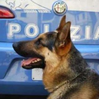 L'Unità Cinofila della Polizia in visita alla scuola Colombo di Sanremo e Taggia L'Unità Cinofila della Polizia in visita alla scuola Colombo di Sanremo e Taggia
