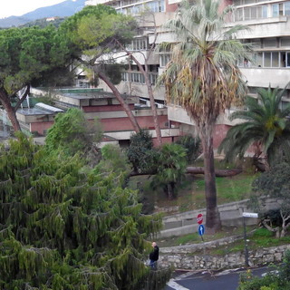 Imperia: orientamento scolastico, serie di appuntamenti e 'porte aperte' ai Licei 'Viesseux' e 'De Amicis'