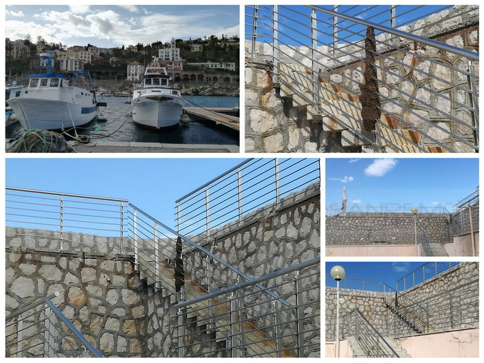 Bordighera: sciame d'api all'ingresso del porto, chiamati gli apicoltori per la rimozione (Foto) Bordighera: sciame d'api all'ingresso del porto, chiamati gli apicoltori per la rimozione (Foto)