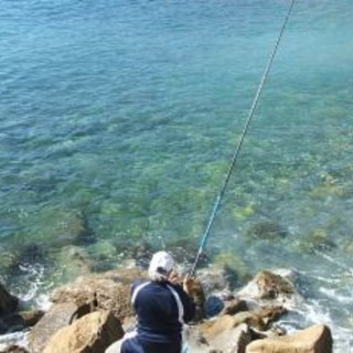 Bordighera: guerra tra pescatori locali e pescherecci, il punto di vista di un lettore