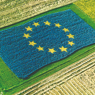 PAC (Politica agricola comune), Coldiretti Liguria: “No a tagli per 370 mln destinati al mondo agricolo"