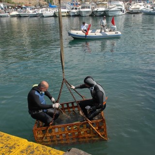 Bordighera: pulizia del porto, il commento dopo l'intensa attività di ieri