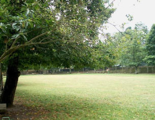 Sanremo: situazione in frazione San Romolo, lettice "Ci si ricorda di noi solo per le elezioni!" Sanremo: situazione in frazione San Romolo, lettice "Ci si ricorda di noi solo per le elezioni!"