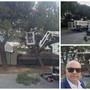 Potatura dei pini allo 'Zaccari', l'Amministrazione di Vallecrosia al Mare: "Intervento importante per la sicurezza dei giovani" (Foto)