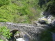 Rocchetta Nervina: sabato prossimo una escursione al Ponte Paù tra laghetti e magnifiche fioriture Rocchetta Nervina: sabato prossimo una escursione al Ponte Paù tra laghetti e magnifiche fioriture
