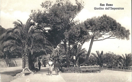 Sanremo: a rischio i pini marittimi, quale futuro per il paesaggio storico? Mercoledì una conferenza Sanremo: a rischio i pini marittimi, quale futuro per il paesaggio storico? Mercoledì una conferenza