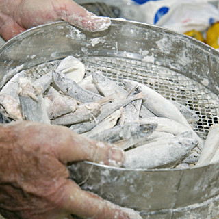 Sanremo: domani al mercato ittico del Porto Vecchio, 'Il Pesce Ritrovato' by Fish Scale