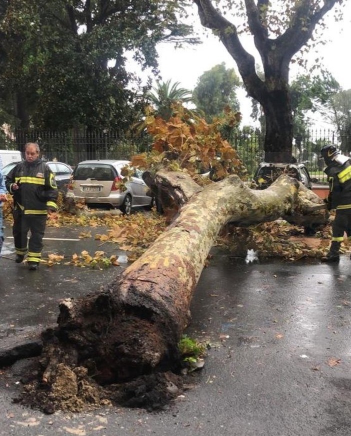Allerta Rossa e maltempo: perturbazione in ritardo, cadono alberi a Ventimiglia e Pigna (Foto e Video)
