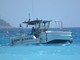 In Costa Azzurra ogni estate il servizio di pulizia del mare: un'idea da sviluppare anche in Italia (Foto)