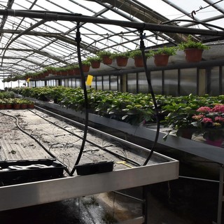Nel mese di febbraio alla scuola agraria di strada Maccagnan gli appuntamenti di 'Orientamento scolastico' Nel mese di febbraio alla scuola agraria di strada Maccagnan gli appuntamenti di 'Orientamento scolastico'