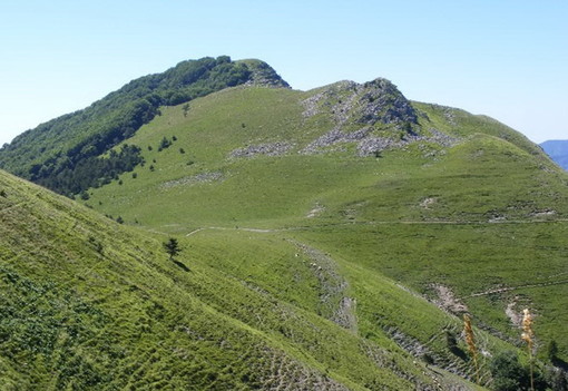 Molini di Triora: giovedì 21 un'escursione alla scoperta dei prati in fiore del passo della Mezzaluna