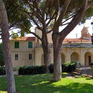 Sanremo: pino marittimo a grave rischio crollo nella pineta di Poggio, emessa ordinanza di abbattimento