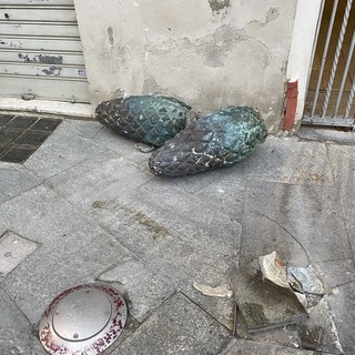 Le 'pigna' abbattute in via Escoffier