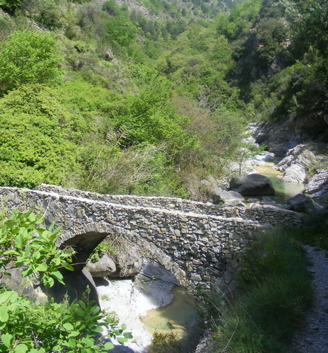 Rocchetta Nervina: sabato prossimo una escursione al Ponte Paù tra laghetti e magnifiche fioriture Rocchetta Nervina: sabato prossimo una escursione al Ponte Paù tra laghetti e magnifiche fioriture