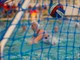 Pallanuoto: la Rari Imperia femminile si gioca la permanenza in A2, per i maschi ultima a Busto Arsizio Pallanuoto: la Rari Imperia femminile si gioca la permanenza in A2, per i maschi ultima a Busto Arsizio