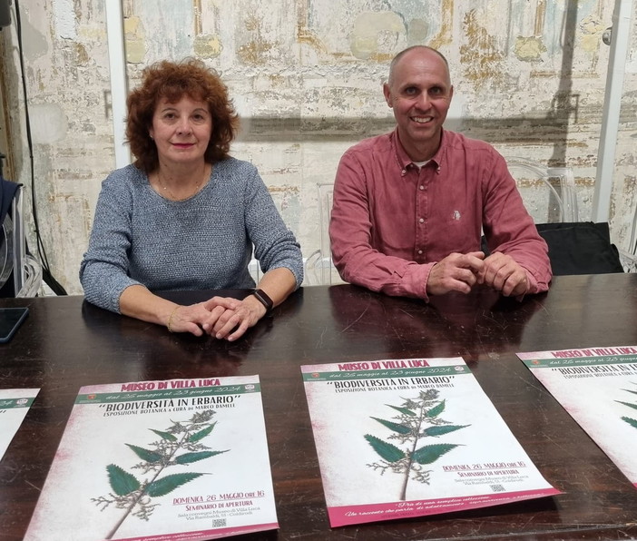 Sanremo: da domenica 26 maggio alla Pinacoteca Rambaldi di Coldirodi la 'Biodiversità in erbario' Sanremo: da domenica 26 maggio alla Pinacoteca Rambaldi di Coldirodi la 'Biodiversità in erbario'