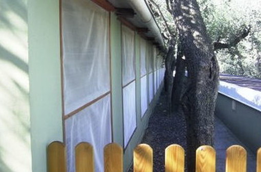 Diano Marina: cani randagi, stipulata la convenzione, Luigi Basso "Ribadita la centralità della tutela della salute del cane" Diano Marina: cani randagi, stipulata la convenzione, Luigi Basso "Ribadita la centralità della tutela della salute del cane"