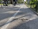 Sanremo: pista ciclabile, bella sì ma senza servizi igienici, lettera del Presidente del Consiglio comunale al Sindaco