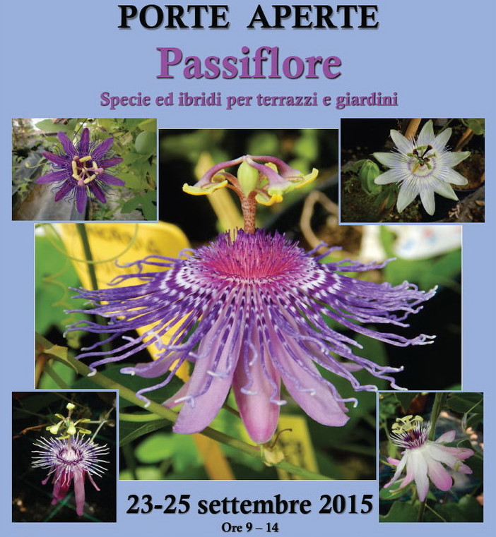 Sanremo: dal 23 al 25 settembre al Cra-Fso Porte Aperte dedicate a 'Passiflore: specie ed ibridi per terrazzi e giardini'